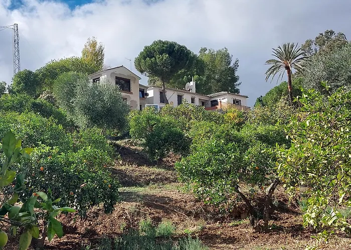 El Bufon De La Corte
